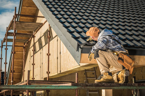 Skylights in Lovejoy, GA