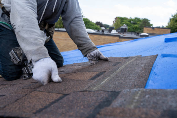 Best Roof Moss and Algae Removal  in Lovejoy, GA